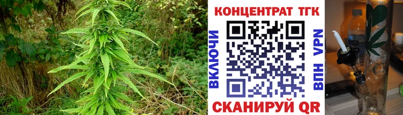 Купить закладки  Эртиль  ТГК гашишное масло 