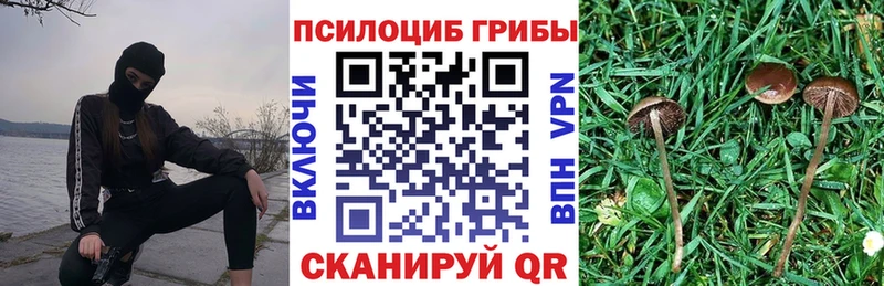 Купить где  Эртиль  Галлюциногенные грибы MAGIC MUSHROOMS 